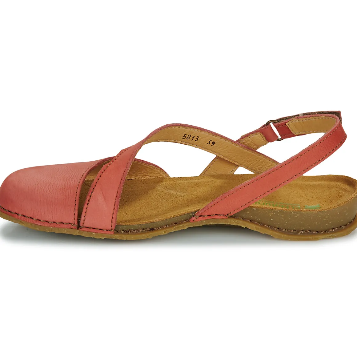 El Naturalista - PANGLAO N5813