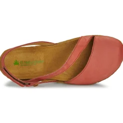 El Naturalista - PANGLAO N5813