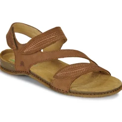 El Naturalista - PANGLAO N5810