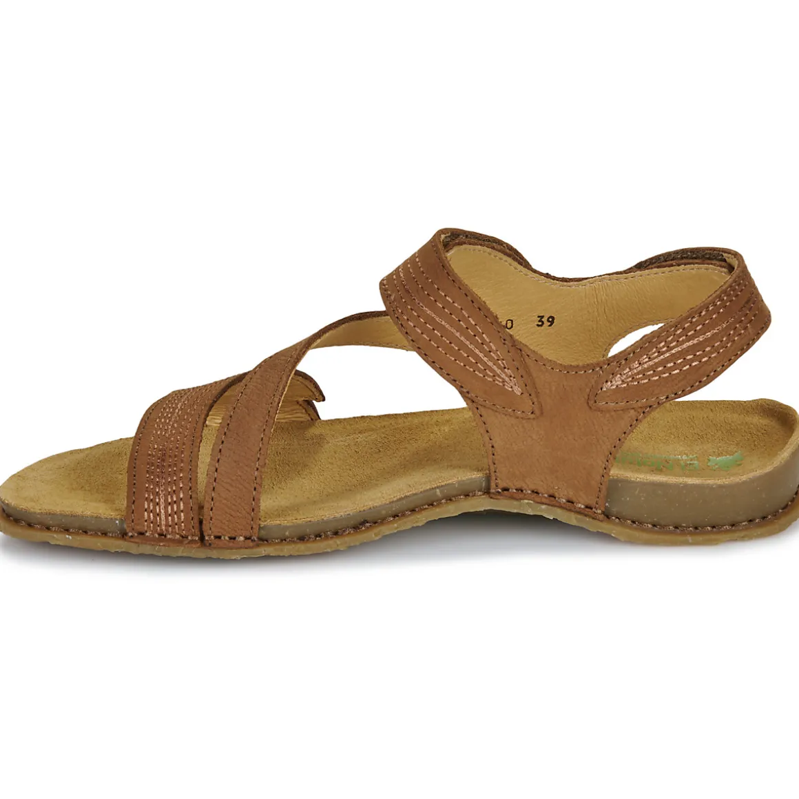 El Naturalista - PANGLAO N5810