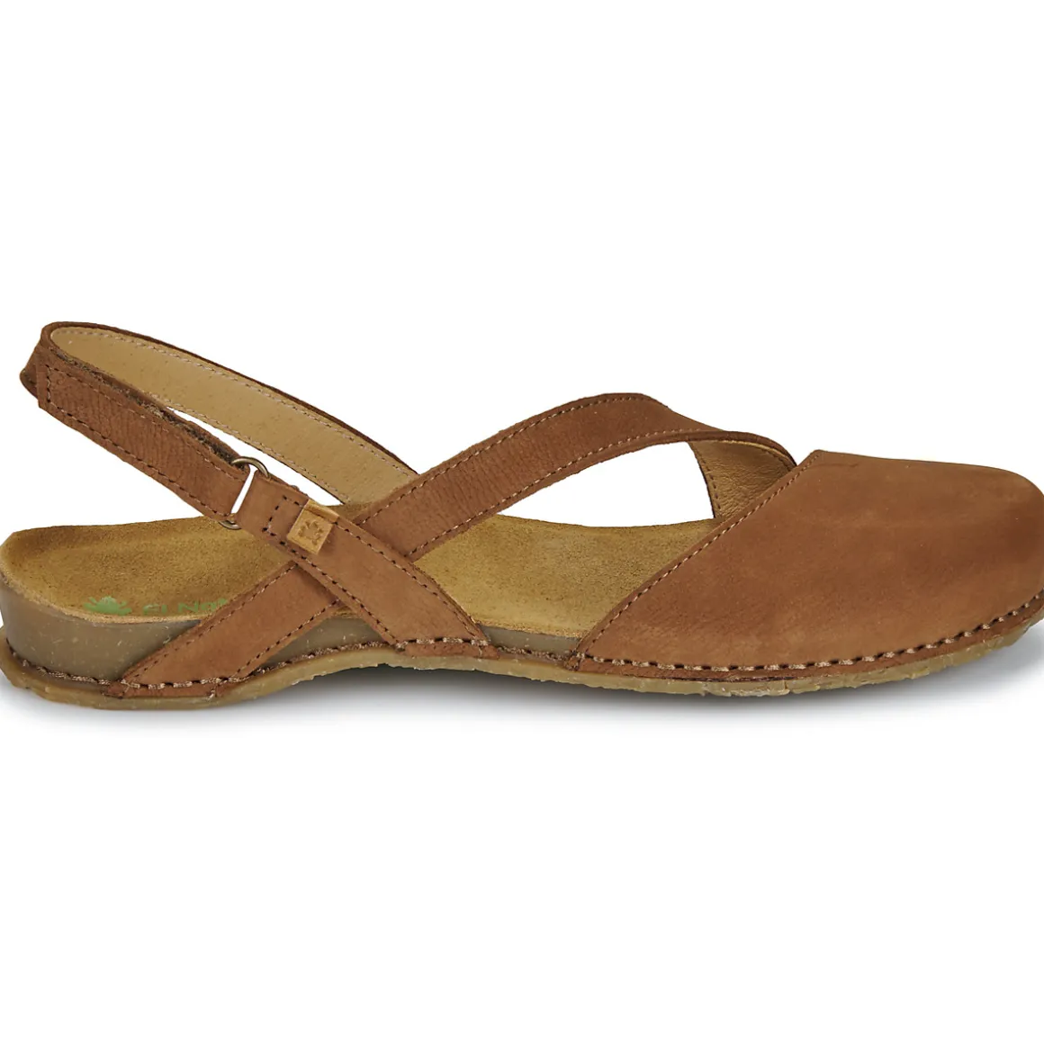 El Naturalista - PANGLAO N5813