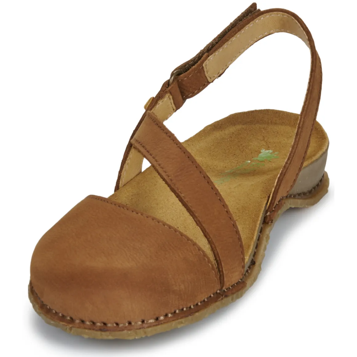 El Naturalista - PANGLAO N5813