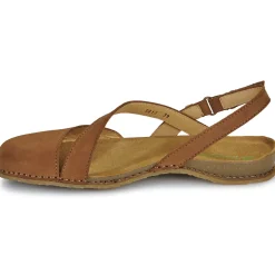 El Naturalista - PANGLAO N5813