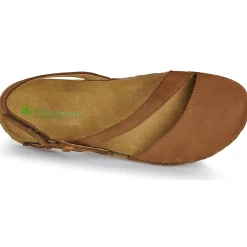 El Naturalista - PANGLAO N5813