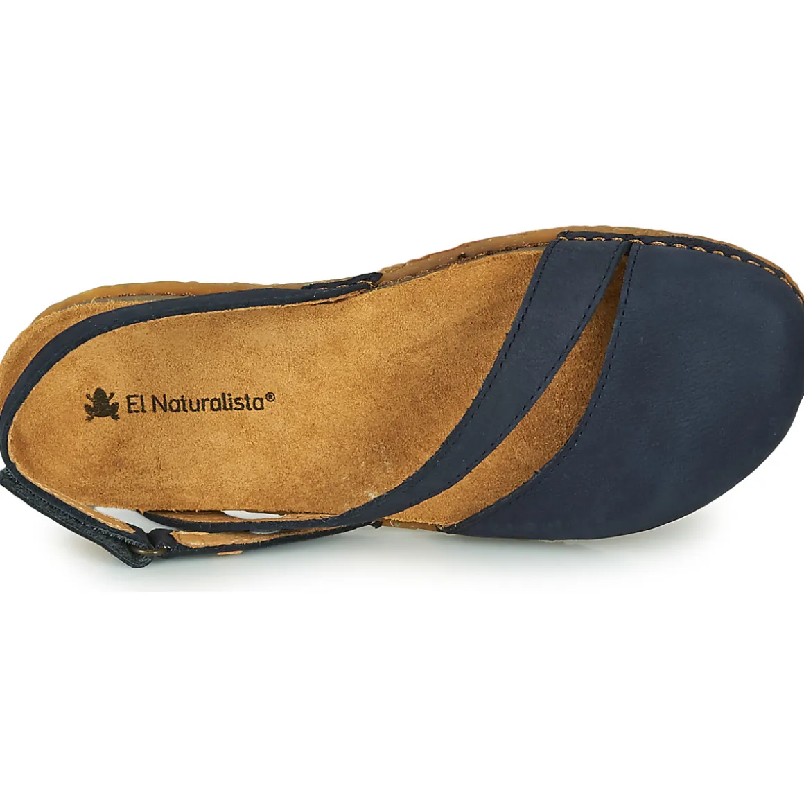 El Naturalista - PANGLAO N5813