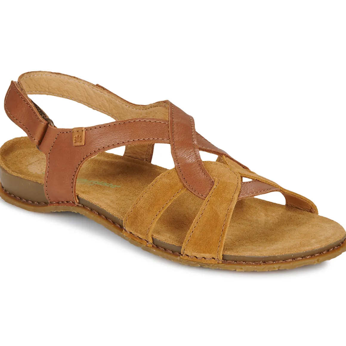 El Naturalista - PANGLAO N5819