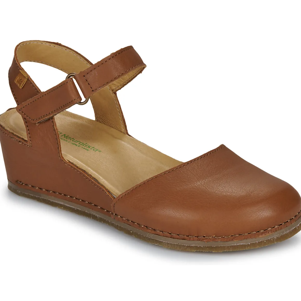 El Naturalista - PICUAL N5850