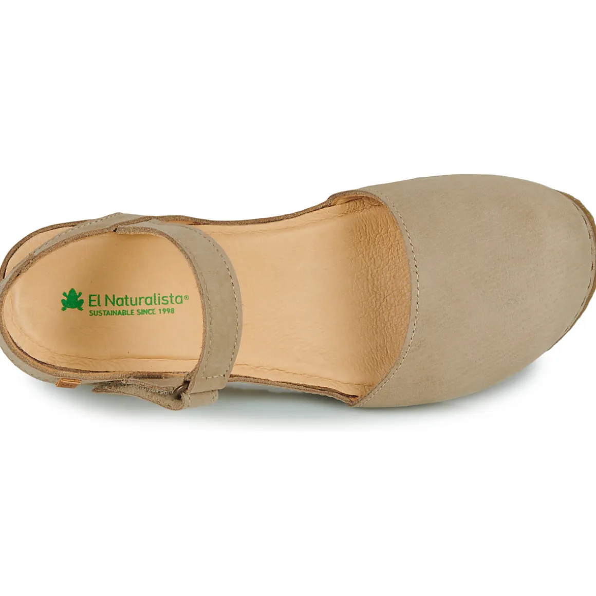 El Naturalista - PICUAL N5850