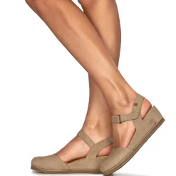 El Naturalista - PICUAL N5850