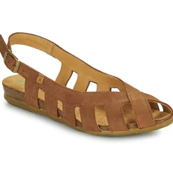 El Naturalista - STELLA N5213