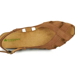 El Naturalista - STELLA N5213