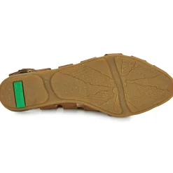 El Naturalista - STELLA N5213