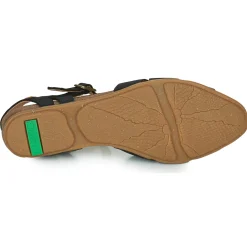 El Naturalista - STELLA N5207