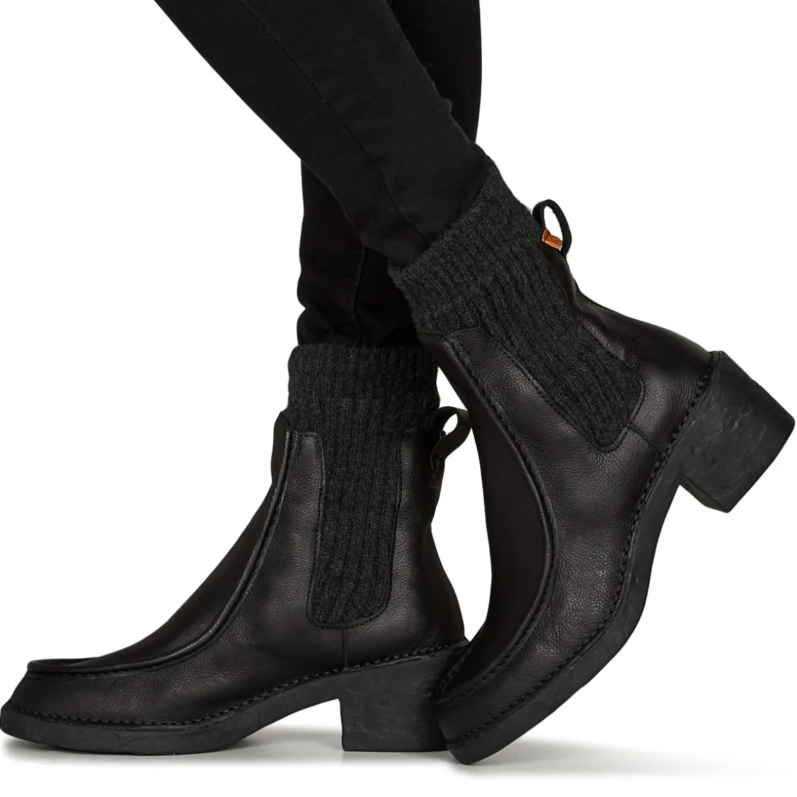 El Naturalista - TICINO N5661