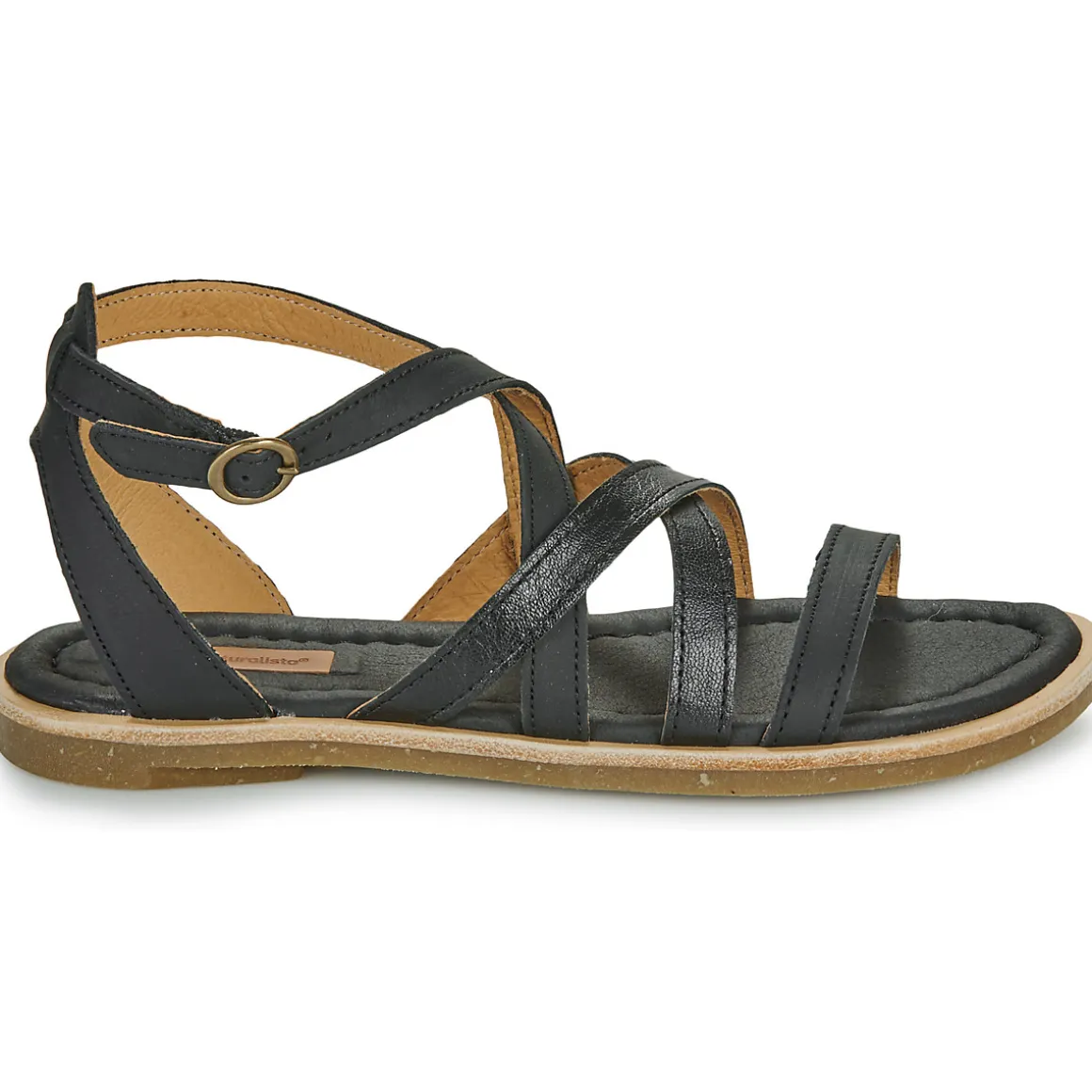 El Naturalista - TONAMI