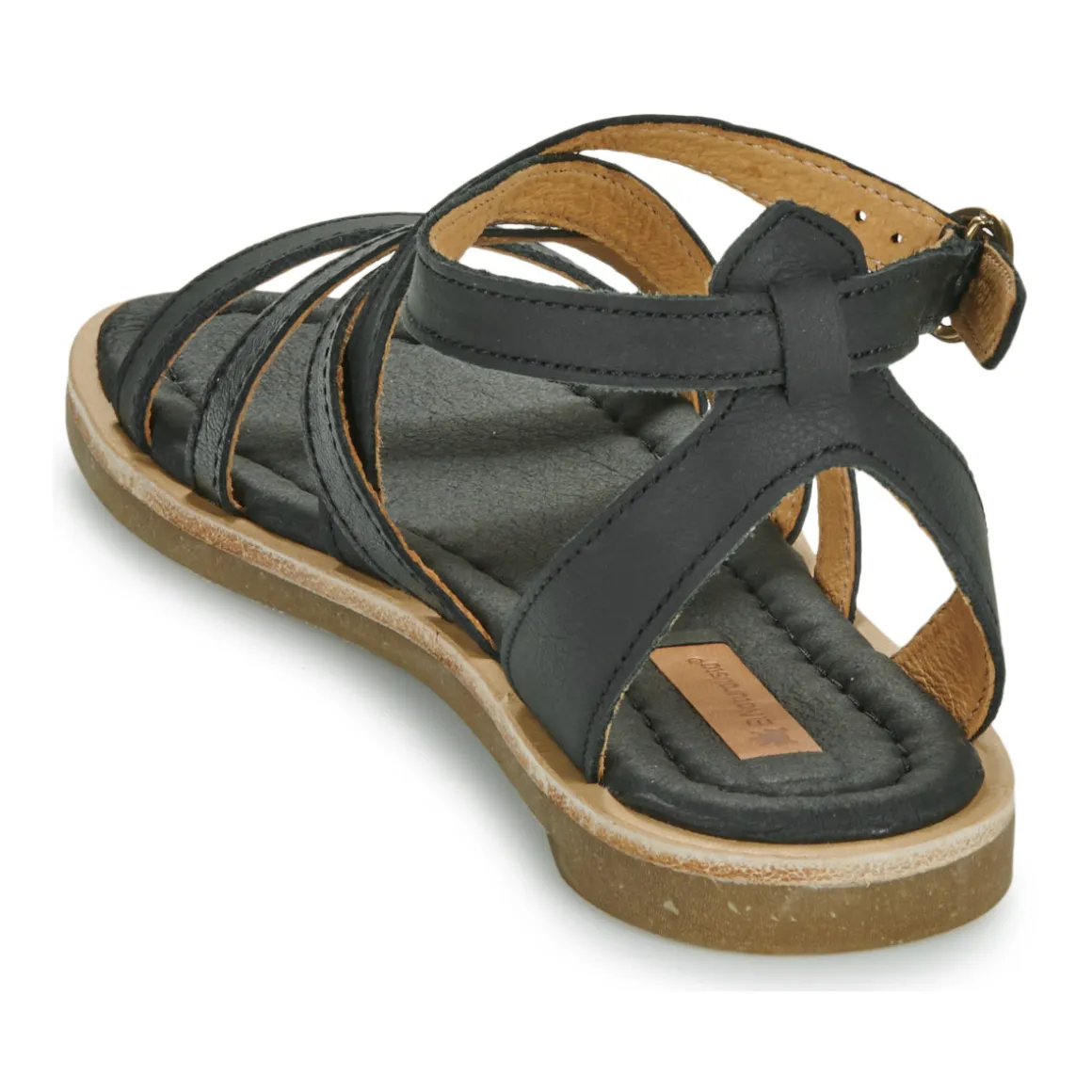 El Naturalista - TONAMI