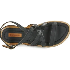 El Naturalista - TONAMI