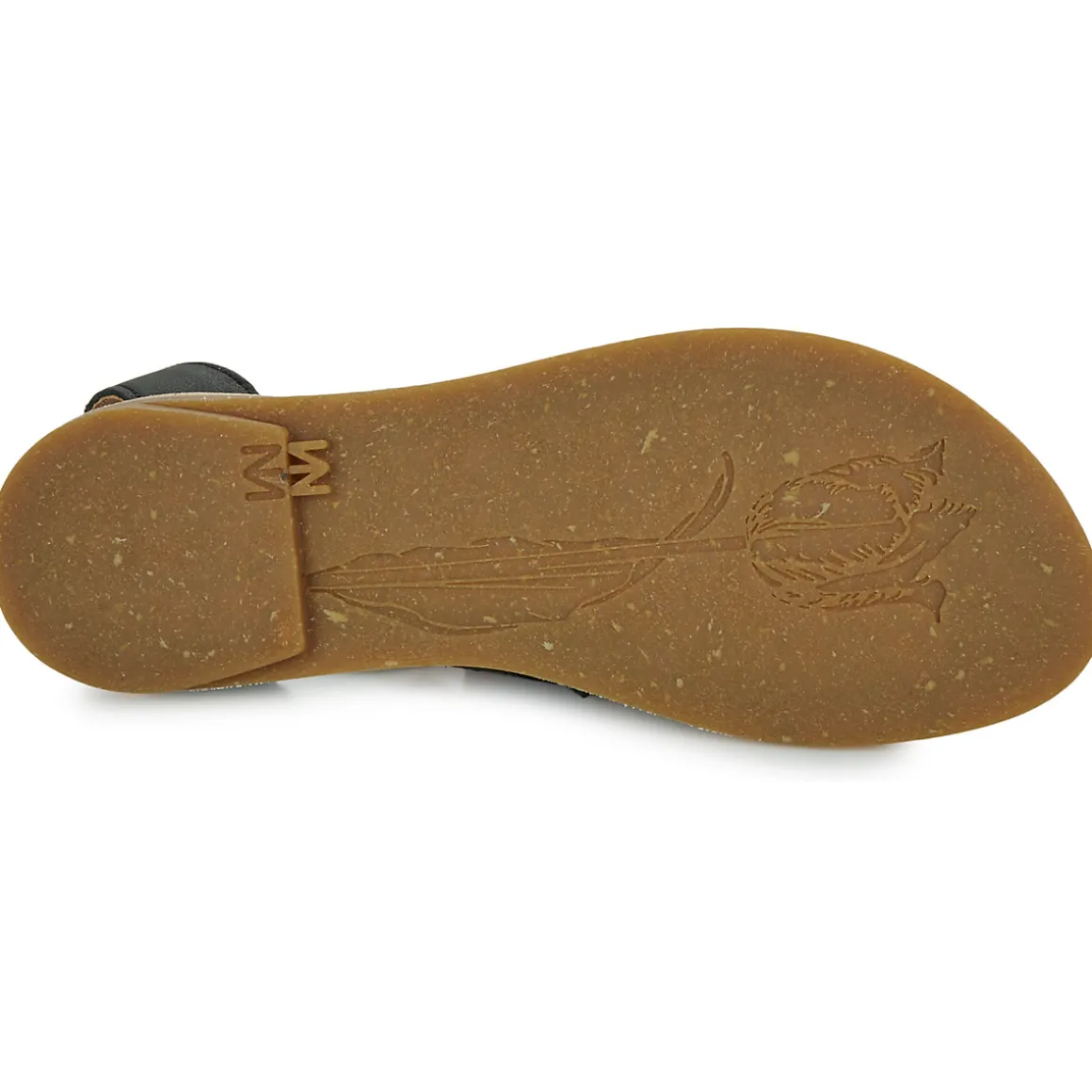 El Naturalista - TONAMI