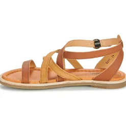 El Naturalista - TONAMI