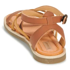 El Naturalista - TONAMI