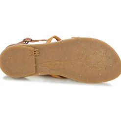 El Naturalista - TONAMI