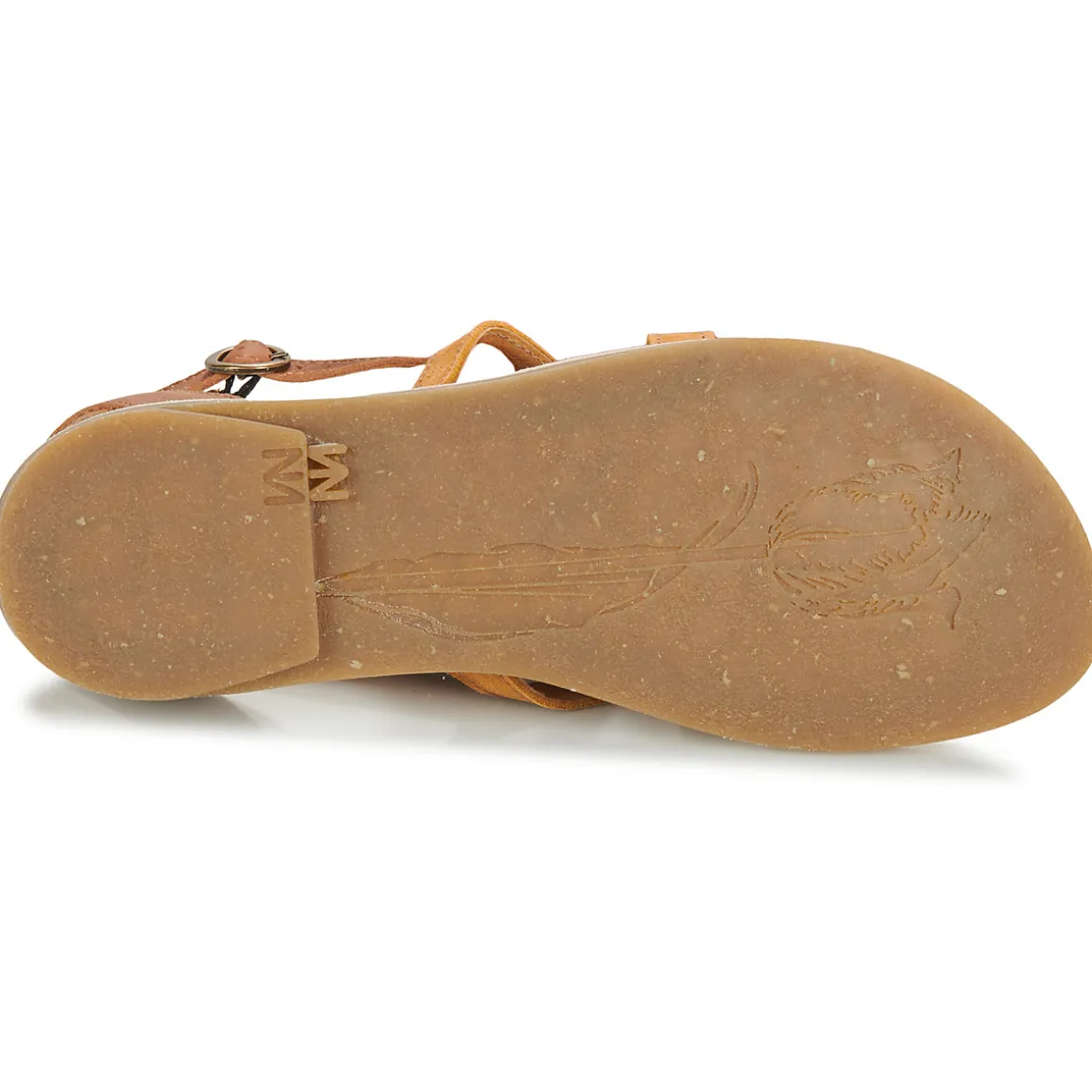 El Naturalista - TONAMI