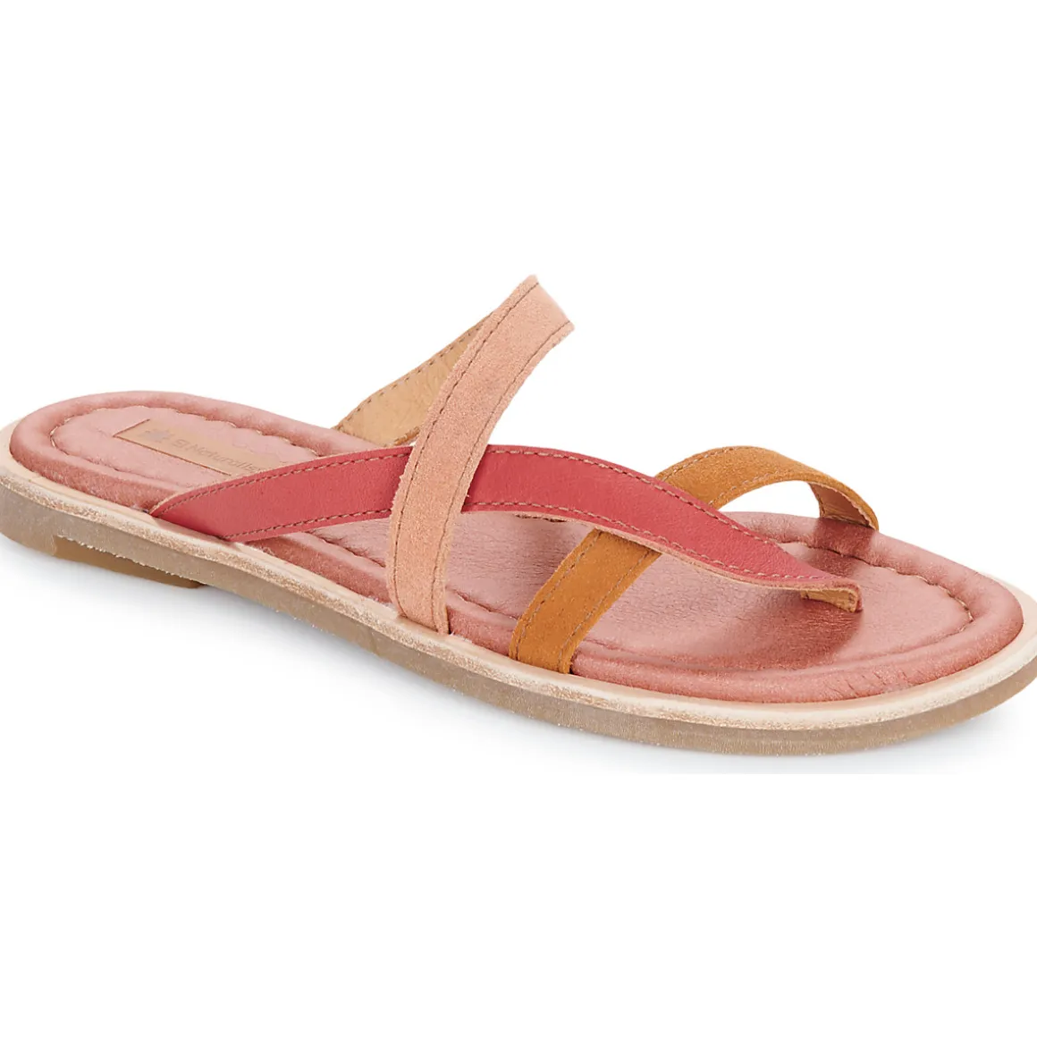 El Naturalista - TONAMI