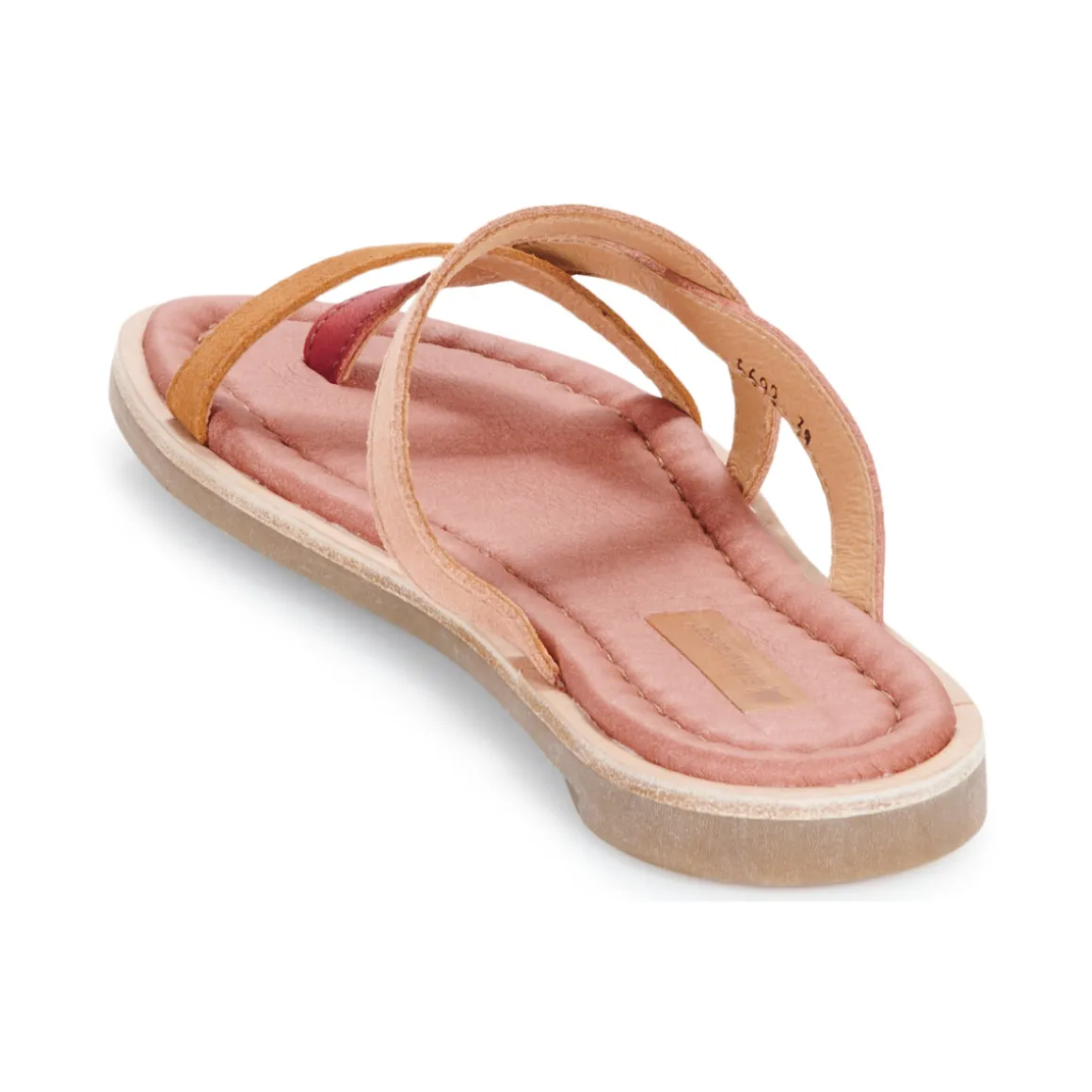 El Naturalista - TONAMI