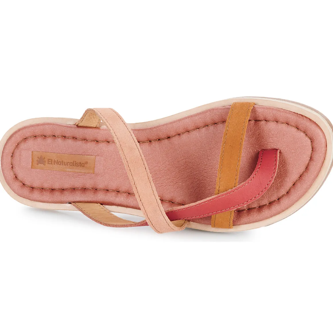 El Naturalista - TONAMI