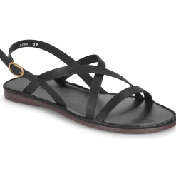 El Naturalista - TULIP N5694