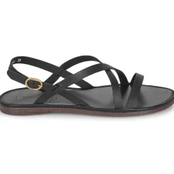 El Naturalista - TULIP N5694