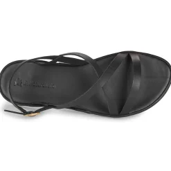 El Naturalista - TULIP N5694