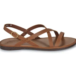 El Naturalista - TULIP N5694