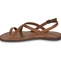 El Naturalista - TULIP N5694