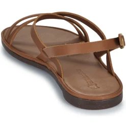 El Naturalista - TULIP N5694