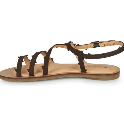 El Naturalista - TULIP N5193