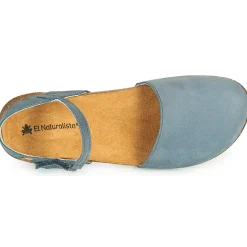 El Naturalista - WAKATAUA N412