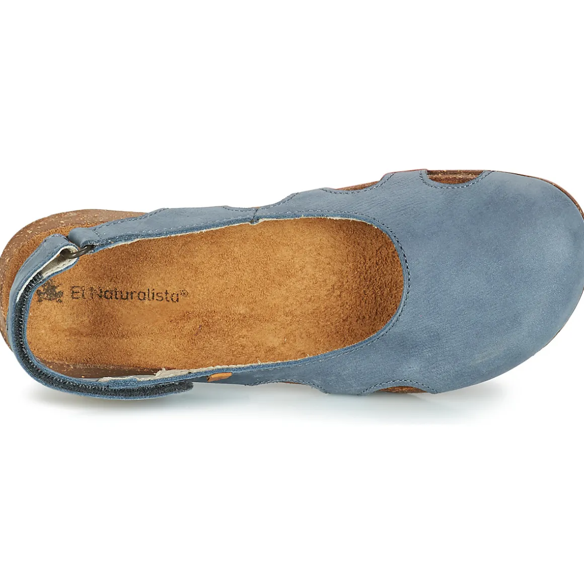 El Naturalista - WAKATAUA N413