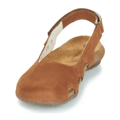 El Naturalista - WAKATAUA N413