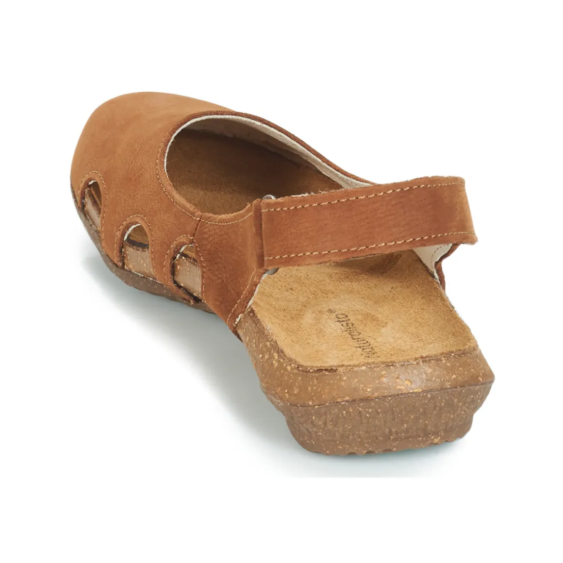 El Naturalista - WAKATAUA N413