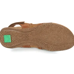 El Naturalista - WAKATAUA N413