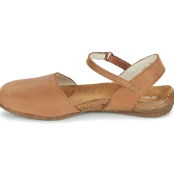 El Naturalista - WAKATAUA N412