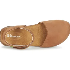 El Naturalista - WAKATAUA N412