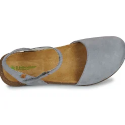 El Naturalista - WAKATAUA N412