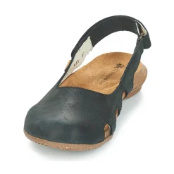 El Naturalista - WAKATAUA N413