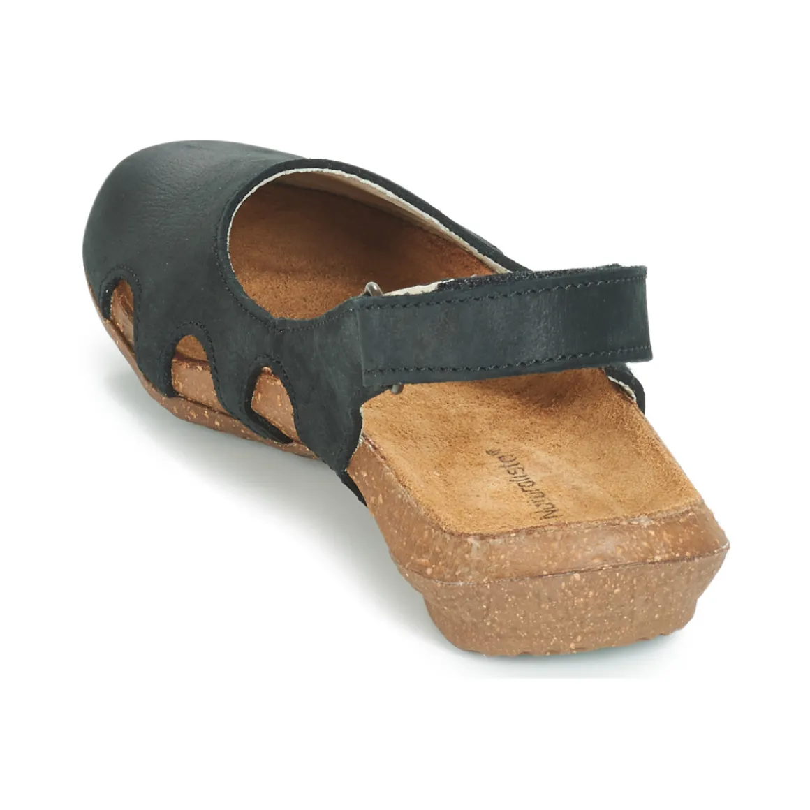 El Naturalista - WAKATAUA N413