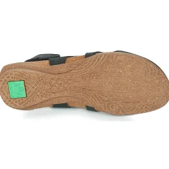 El Naturalista - WAKATAUA N413