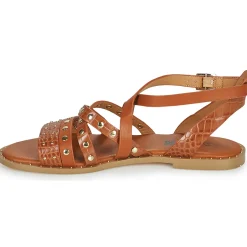 Elue par nous - LESCOT