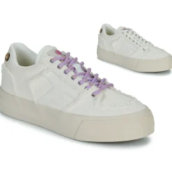 Faguo - WALNUT PLATFORM