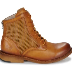 Felmini - E076-COWER-DIAMANTE-AMBAR